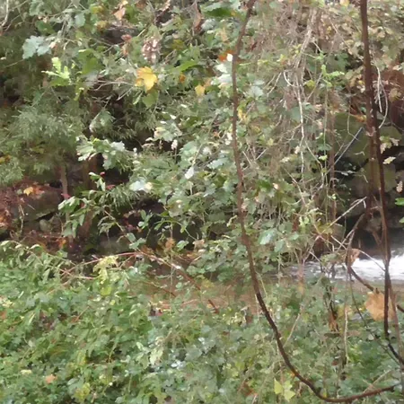 Tienda De Campana En Ecoaldea Vegana Espiral En Plena Naturaleza Con Comida Y Cena Incluida *