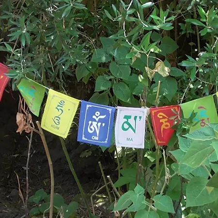 Luksusowy namiot Tienda De Campana En Ecoaldea Vegana Espiral En Plena Naturaleza Con Comida Y Cena Incluida *