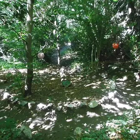 خيمة فخمة Tienda De Campana En Ecoaldea Vegana Espiral En Plena Naturaleza Con Comida Y Cena Incluida