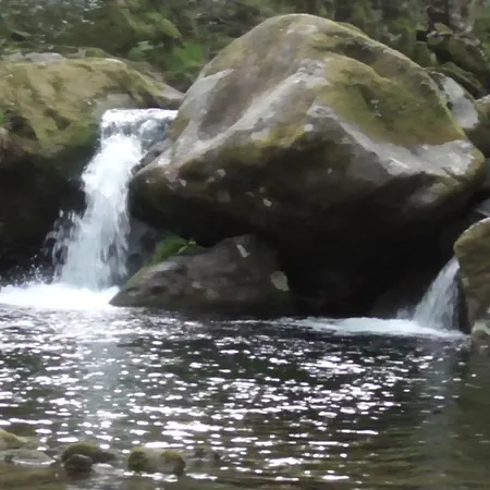 خيمة فخمة Tienda De Campana En Ecoaldea Vegana Espiral En Plena Naturaleza Con Comida Y Cena Incluida *