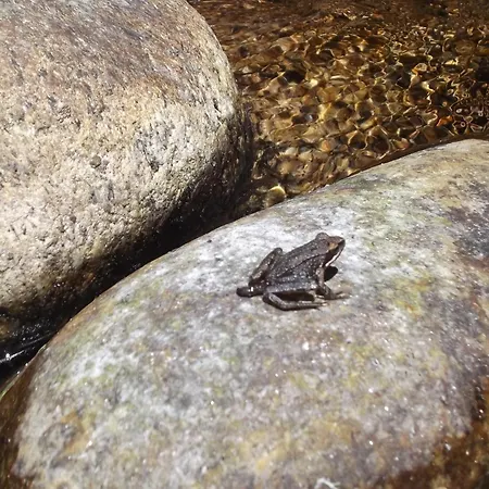 Luksusowy namiot Tienda De Campana En Ecoaldea Vegana Espiral En Plena Naturaleza Con Comida Y Cena Incluida