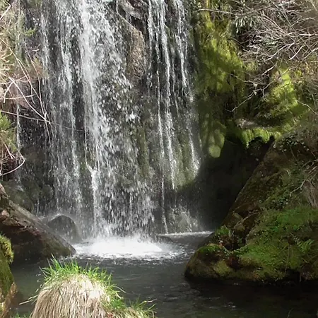 Tienda De Campana En Ecoaldea Vegana Espiral En Plena Naturaleza Con Comida Y Cena Incluida Luksusowy namiot *