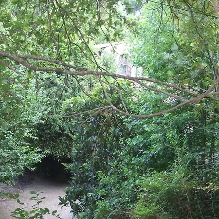 Luksusowy namiot Tienda De Campana En Ecoaldea Vegana Espiral En Plena Naturaleza Con Comida Y Cena Incluida