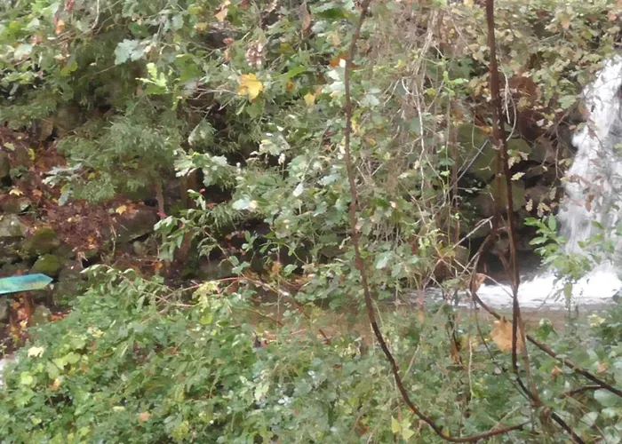 Tienda De Campana En Ecoaldea Vegana Espiral En Plena Naturaleza Con Comida Y Cena Incluida *