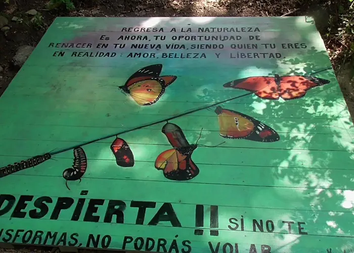 Lyxtält Tienda De Campana En Ecoaldea Vegana Espiral En Plena Naturaleza Con Comida Y Cena Incluida