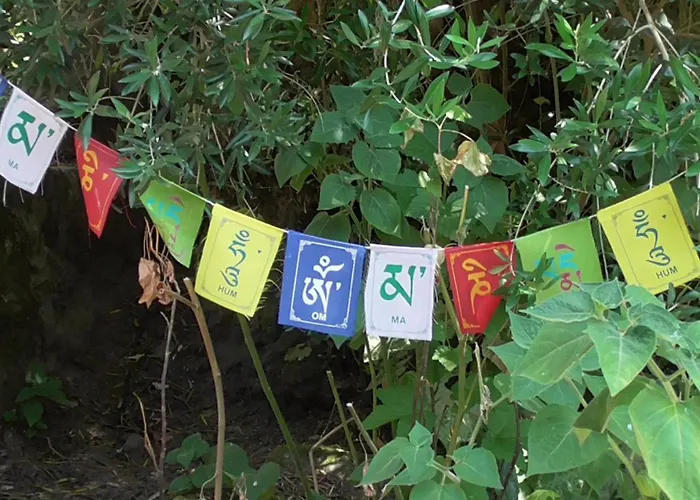 Lyxtält Tienda De Campana En Ecoaldea Vegana Espiral En Plena Naturaleza Con Comida Y Cena Incluida *