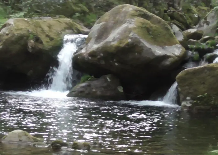 Lyxtält Tienda De Campana En Ecoaldea Vegana Espiral En Plena Naturaleza Con Comida Y Cena Incluida *