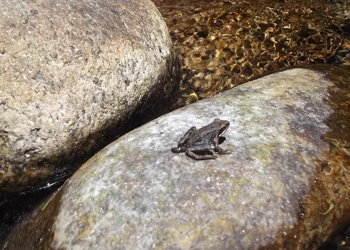 Lyxtält Tienda De Campana En Ecoaldea Vegana Espiral En Plena Naturaleza Con Comida Y Cena Incluida