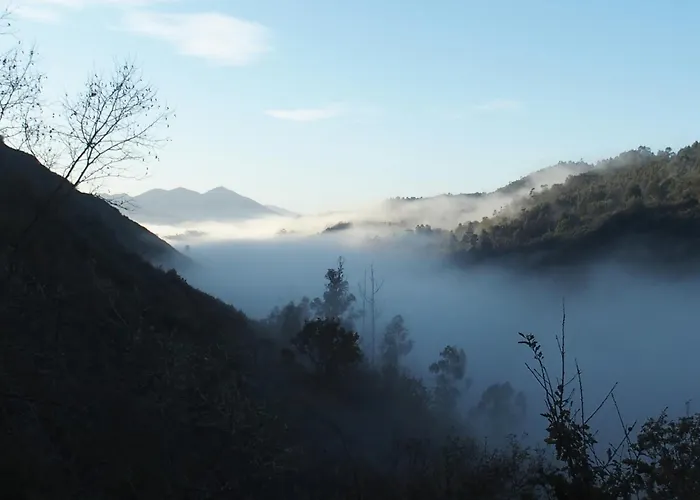 Lyxtält Tienda De Campana En Ecoaldea Vegana Espiral En Plena Naturaleza Con Comida Y Cena Incluida *