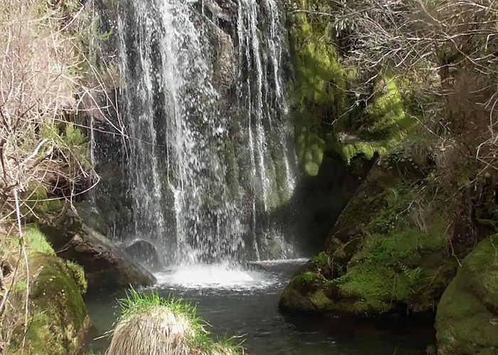 Tienda De Campana En Ecoaldea Vegana Espiral En Plena Naturaleza Con Comida Y Cena Incluida Lyxtält *