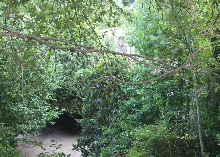 Lyxtält Tienda De Campana En Ecoaldea Vegana Espiral En Plena Naturaleza Con Comida Y Cena Incluida